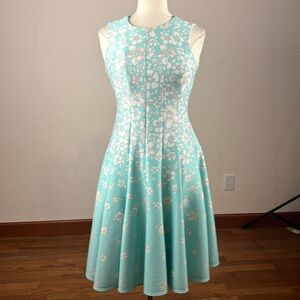 Danny and Nicole sleeveless dress. Women’s size 4